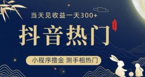 抖音最新小程序撸金，测手相上热门，当天见收益一小时变现300+【揭秘】-沐风资源库