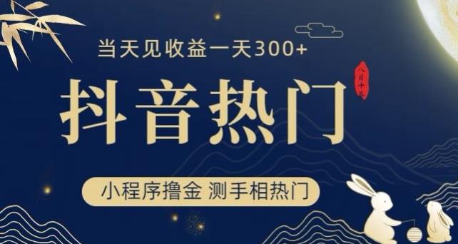 抖音最新小程序撸金，测手相上热门，当天见收益一小时变现300+【揭秘】-沐风资源库