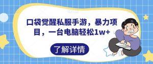 口袋觉醒私服手游，暴力项目，一台电脑轻松1w+【揭秘】-沐风资源库
