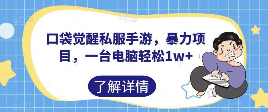 口袋觉醒私服手游，暴力项目，一台电脑轻松1w+【揭秘】-沐风资源库
