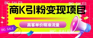 商K引粉变现项目，高客单价精准流量【揭秘】-沐风资源库