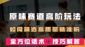 短视频原味赛道高阶玩法，如何筛选高质量精准粉？全方位话术＋技巧解答【揭秘】-沐风资源库
