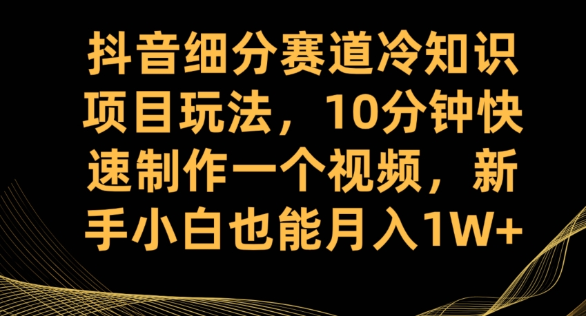 抖音细分赛道冷知识项目玩法，10分钟快速制作一个视频，新手小白也能月入1W+【揭秘】-沐风资源库