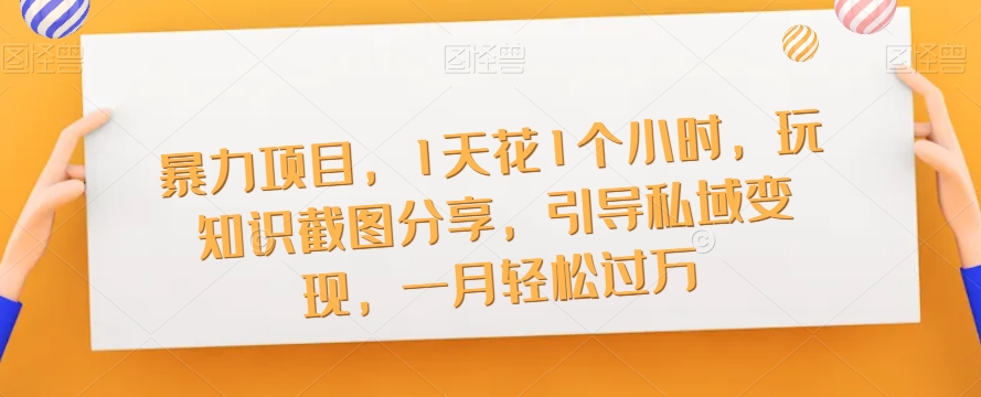 暴力项目，1天花1个小时，玩知识截图分享，引导私域变现，一月轻松过万【截图】-沐风资源库