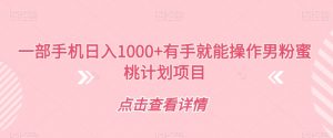 一部手机日入1000+有手就能操作男粉蜜桃计划项目【揭秘】-沐风资源库