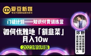 爱豆新媒：如何优雅地「割韭菜」月入10w的秘诀（2023年9月版）-沐风资源库