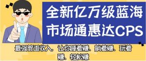 全新亿万级蓝海市场通惠达cps，最强管道收入，让你睡着赚、躺着赚、玩着赚、轻松赚【揭秘】-沐风资源库