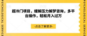 超冷门项目，缓解压力解梦咨询，多平台操作，轻松月入过万【揭秘】-沐风资源库