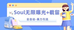 【暴力引流】Soul无限曝光+截留一体的软件【揭秘】-沐风资源库