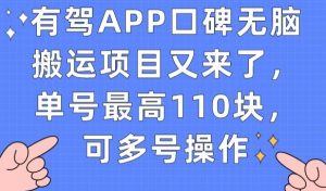有驾APP口碑无脑搬运项目又来了，单号最高110块，可多号操作-沐风资源库