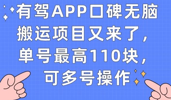 有驾APP口碑无脑搬运项目又来了，单号最高110块，可多号操作-沐风资源库