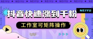 抖音快速涨粉秘籍,教你如何快速涨到千粉,工作室可矩阵操作【揭秘】-沐风资源库