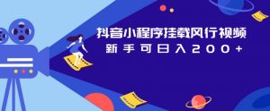 抖音小程序挂载风行视频，新手可日入200+-沐风资源库