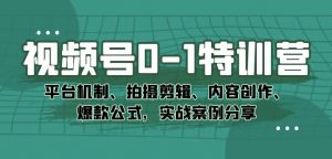 视频号0-1特训营:平台机制、拍摄剪辑、内容创作、爆款公式,实战案例分享-沐风资源库