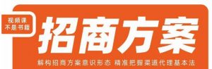 王昕招商方案，解构招商方案意识形态，精准把握渠道代理基本法-沐风资源库