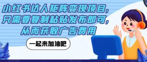 小红书达人矩阵变现项目，只需要复制粘贴发布即可，从而获取广告费用-沐风资源库