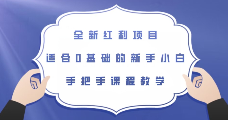 全新红利项目，适合0基础的新手小白，手把手课程教学【揭秘】-沐风资源库