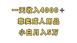 一天收入4000+，靠卖成人用品，小白轻松月入5万【揭秘】-沐风资源库