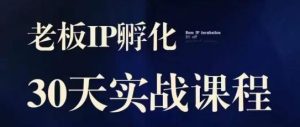 诸葛·2023老板IP实战课，实体同城引流获客，IP孵化必听-沐风资源库
