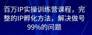 百万IP实操训练营课程,完整的IP孵化方法,解决做号99%的问题-沐风资源库