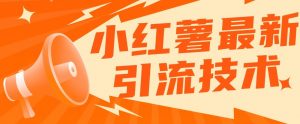 小红书最新引流技术，真正实现解放双手暴力引流-沐风资源库