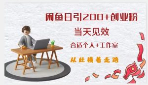 闲鱼精准引流创业粉，日引200+，当天见效，从此横着走-沐风资源库