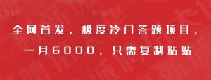 全网首发，极度冷门答题项目，一月6000，只需复制粘贴【揭秘】-沐风资源库