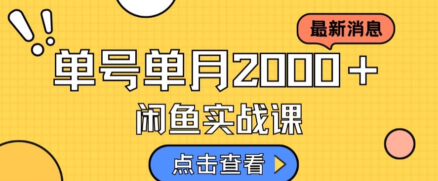 最新闲鱼日入500＋，虚拟资料变现喂饭级讲解-沐风资源库