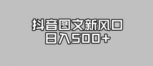 抖音图文最新风口，流量扶持非常高，日入500+【揭秘】-沐风资源库