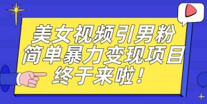 价值3980的男粉暴力引流变现项目，一部手机简单操作，新手小白轻松上手，每日收益500+【揭秘】-沐风资源库