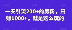 一天引流200+的男粉，日赚1000+，就是这么玩的【揭秘】-沐风资源库