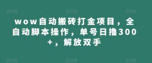 wow自动搬砖打金项目，全自动脚本操作，单号日撸300+，解放双手【揭秘】-沐风资源库
