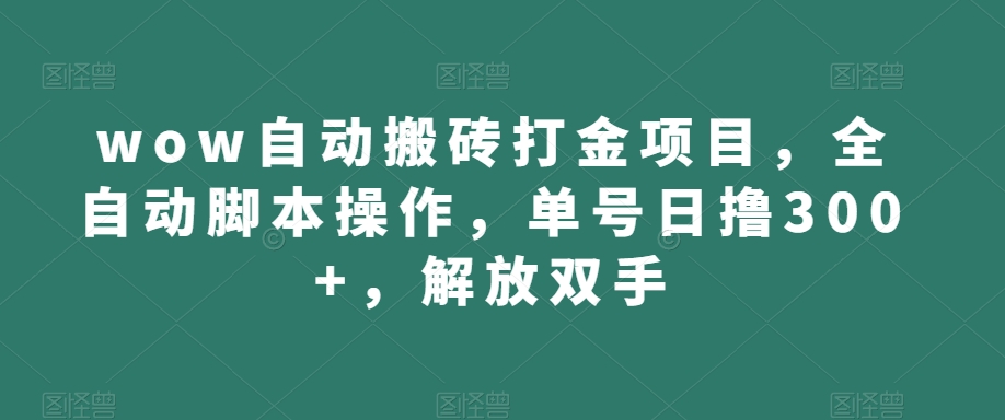 wow自动搬砖打金项目，全自动脚本操作，单号日撸300+，解放双手【揭秘】-沐风资源库