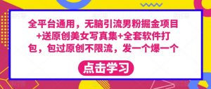 全平台通用，无脑引流男粉掘金项目+送原创美女写真集+全套软件打包，包过原创不限流，发一个爆一个【揭秘】-沐风资源库