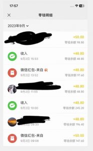 重磅揭秘！一个月9000+收益2023年9月最新yw男粉计划绿色玩法——人性利益更新玩法-沐风资源库