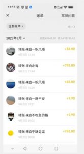 卖古籍电子书，作品只需要简单的图片去重，高客单价高利润，月入五位轻轻松松-沐风资源库
