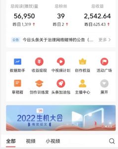 全新蓝海，西瓜视频流量掘金项目，简单上手适合0基础小白，暴力玩法日入500＋【揭秘】-沐风资源库