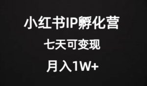 价值2000+的小红书IP孵化营项目，超级大蓝海，七天即可开始变现，稳定月入1W+-沐风资源库