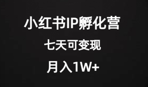 价值2000+的小红书IP孵化营项目，超级大蓝海，七天即可开始变现，稳定月入1W+-沐风资源库