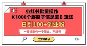 小红书批量操作《1000个野路子信息差》玩法，一分钟制作一个图文，不封号，日引100+创业粉-沐风资源库