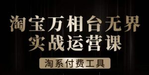 沧海·淘系万相台无界实战运营课，万相台无界实操全案例解析-沐风资源库