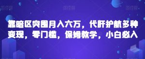 靠暗区突围月入六万，代肝护航多种变现，零门槛，保姆教学，小白必入【揭秘】-沐风资源库
