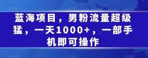 蓝海项目，男粉流量超级猛，一天1000+，一部手机即可操作【揭秘】-沐风资源库