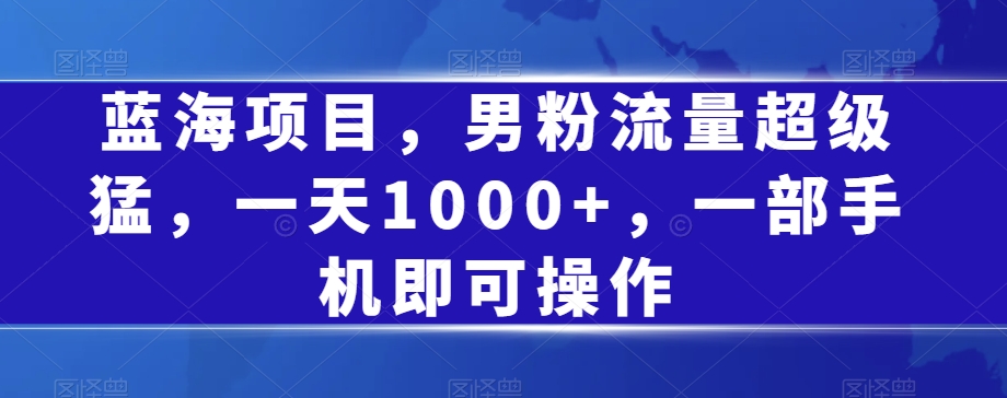 蓝海项目，男粉流量超级猛，一天1000+，一部手机即可操作【揭秘】-沐风资源库