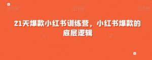 21天爆款小红书训练营，小红书爆款的底层逻辑-沐风资源库