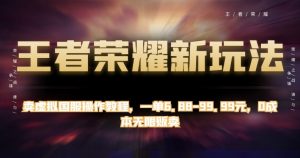 王者荣耀新玩法，卖虚拟国服操作教程，一单6.88-99.99元，0成本无限贩卖【揭秘】-沐风资源库