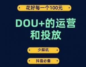 DOU+的运营和投放，花1条DOU+的钱，成为DOU+的投放高手，少走弯路不采坑-沐风资源库