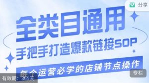 单品爆款打造实操运营，单品爆款从“0”-“1”手把手演练运营步骤-沐风资源库
