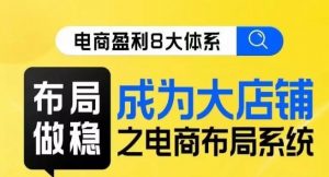 八大体系布局篇·布局做稳，成为大店的电商布局线上课-沐风资源库