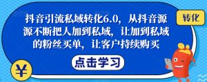 抖音引流私域转化6.0，从抖音源源不断把人加到私域，让加到私域的粉丝买单，让客户持续购买-沐风资源库
